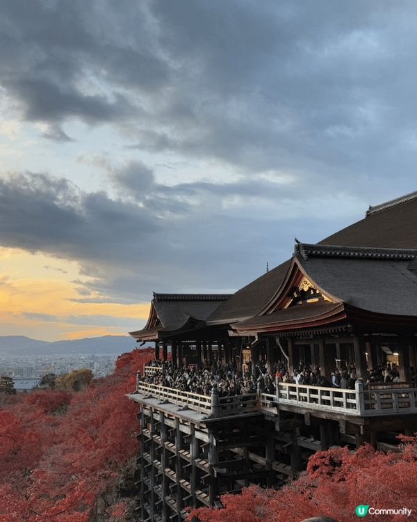 趁仲有紅葉去咗轉京都😍😍😍着埋和服影相打卡一流🤍🤍🤍
...