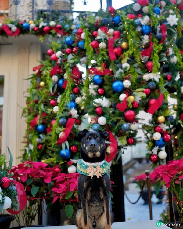 人寵打卡好地方