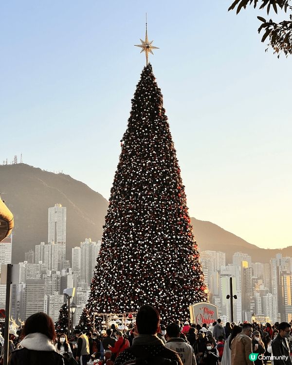 ✨✨西九龍文化藝術公園✨✨西九龍文化公園濃濃的聖誕氣氛，隨手...