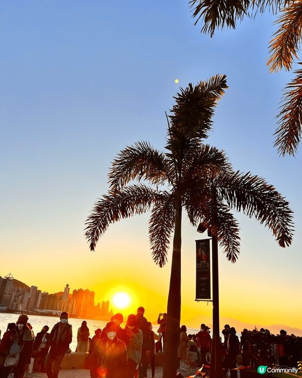 ✨✨西九龍文化藝術公園✨✨西九龍文化公園濃濃的聖誕氣氛，隨手...