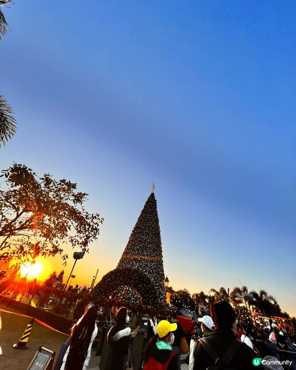 ✨✨西九龍文化藝術公園✨✨西九龍文化公園濃濃的聖誕氣氛，隨手...