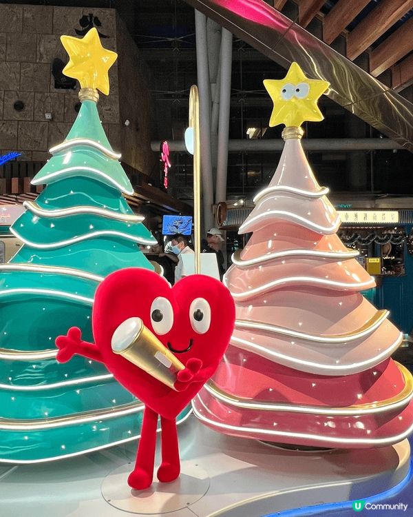 不同種類聖誕樹