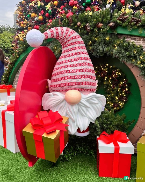 不同種類聖誕樹