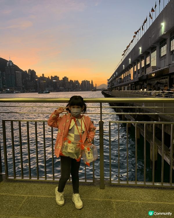 尖沙咀九龍酒店觀光巴士