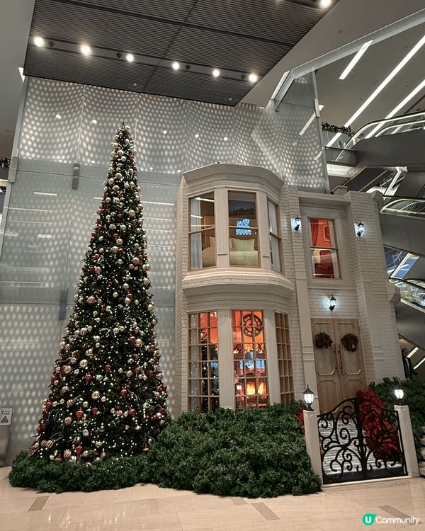 喺尖沙咀海港城出邊拍攝的，佢第一個感覺比我就係火樹銀花，搞到...