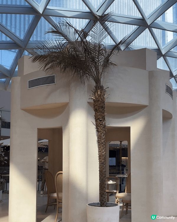 深圳萬象天地商場入面已經有好多商場位有聖誕裝飾啦，可以瘋狂打...