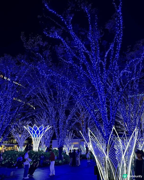 日本福岡聖誕夜繽紛，冬日美食展覽賞萬分