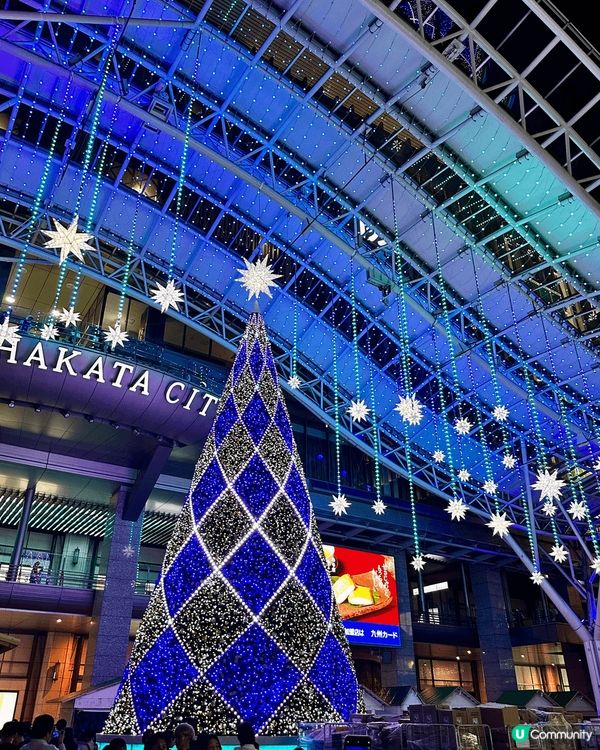 日本福岡聖誕夜繽紛，冬日美食展覽賞萬分