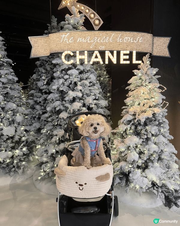 每年西九係必去既聖誕打卡點，今年仲有東薈城既棉花糖小鎮，白雪...