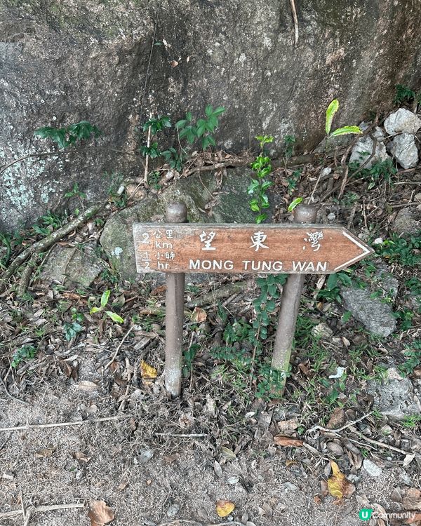 另類普天同慶-望東灣聖誕🎄遠離繁囂！由東涌出發，可以望住怡人...