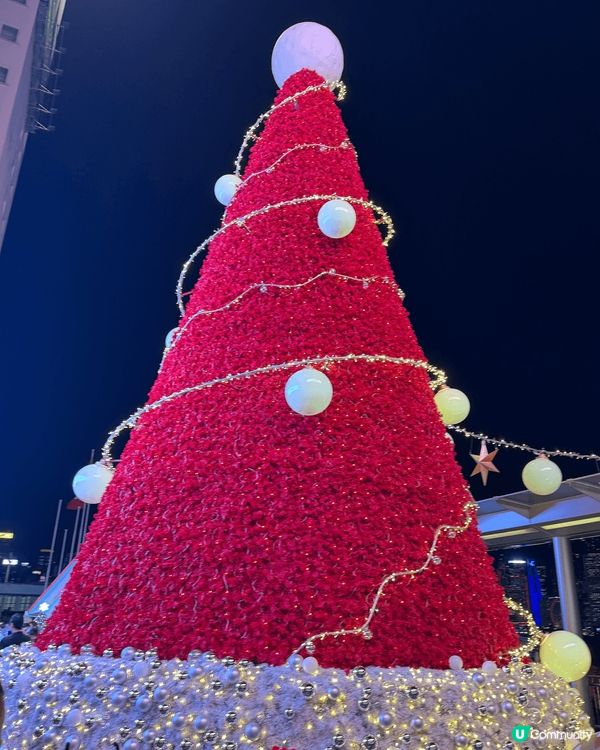 k11 dior 高級聖誕樹。尖沙咀海港城好有聖誕氣氛。太古...