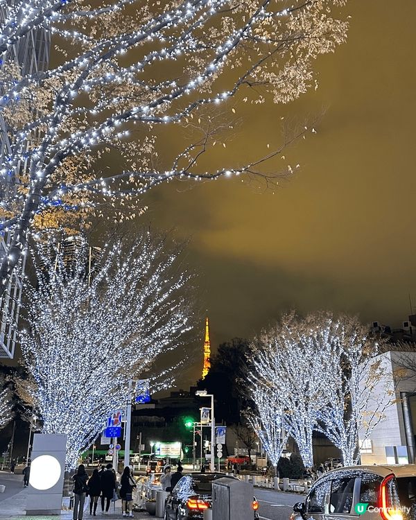 聖誕節去旅行就最啱！又凍又多燈飾睇，節日氣氛夠哂濃厚！