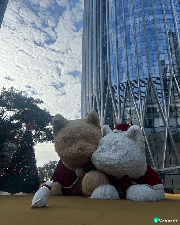 在深圳海岸城的聖誕氣氛麵包店 還有華潤大廈樓下的聖誕貓貓