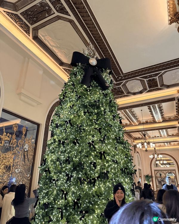 由尖沙咀栢麗大道開始向帝國中心方向，途經The One/K1...