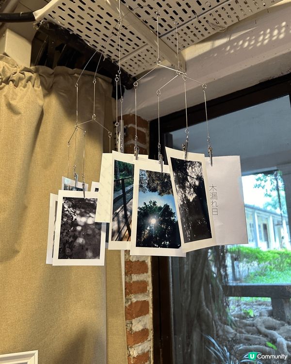 綠藝匯館有大自然嘅感覺，自由自在。