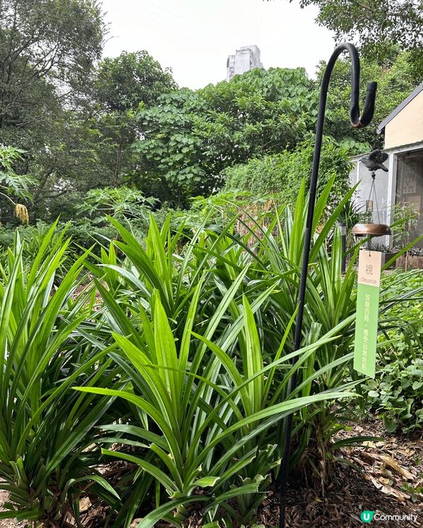 綠藝匯館有大自然嘅感覺，自由自在。