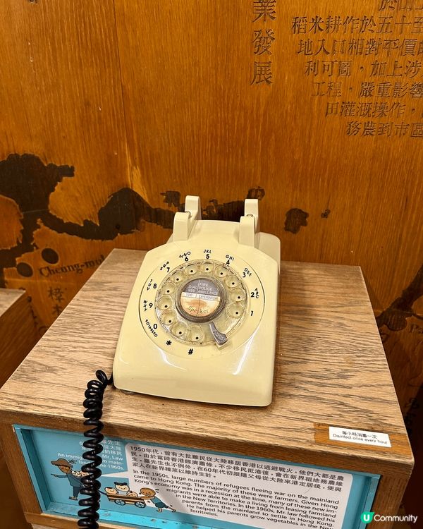 綠藝匯館有大自然嘅感覺，自由自在。