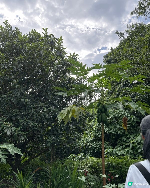 綠藝匯館有大自然嘅感覺，自由自在。