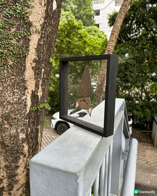 綠藝匯館有大自然嘅感覺，自由自在。