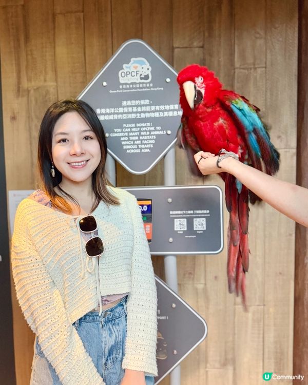 今次去海洋公園難忘點🐬