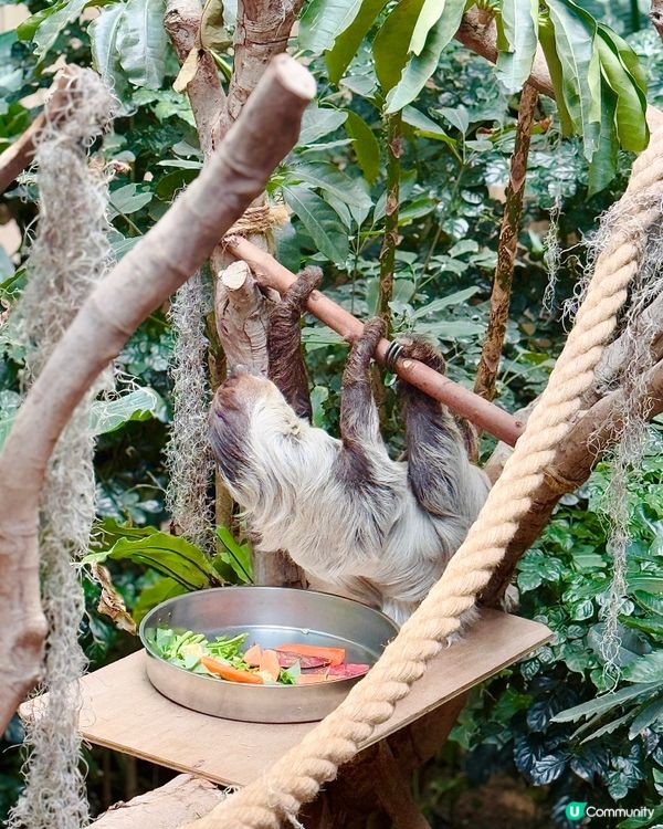 今次去海洋公園難忘點🐬