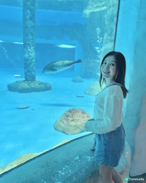 今次去海洋公園難忘點🐬