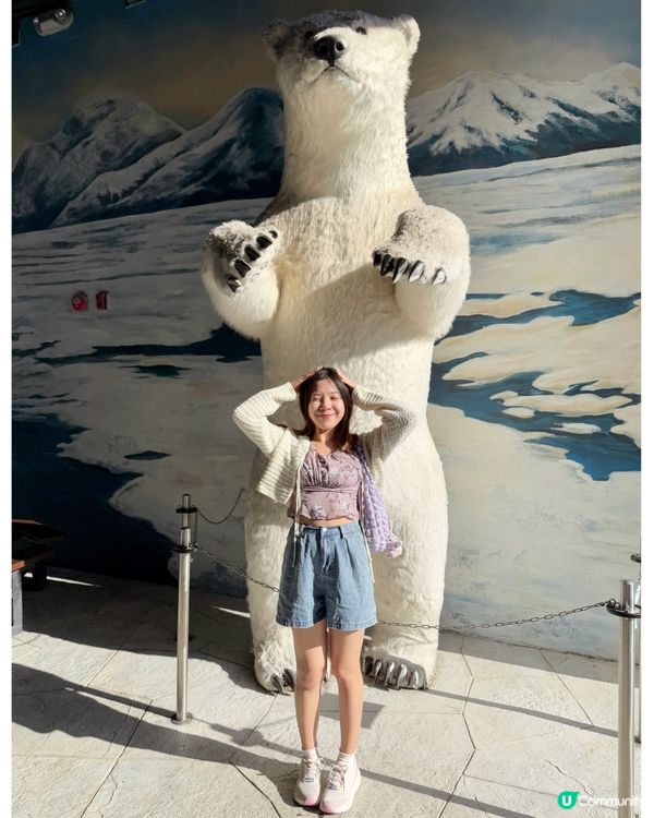 今次去海洋公園難忘點🐬