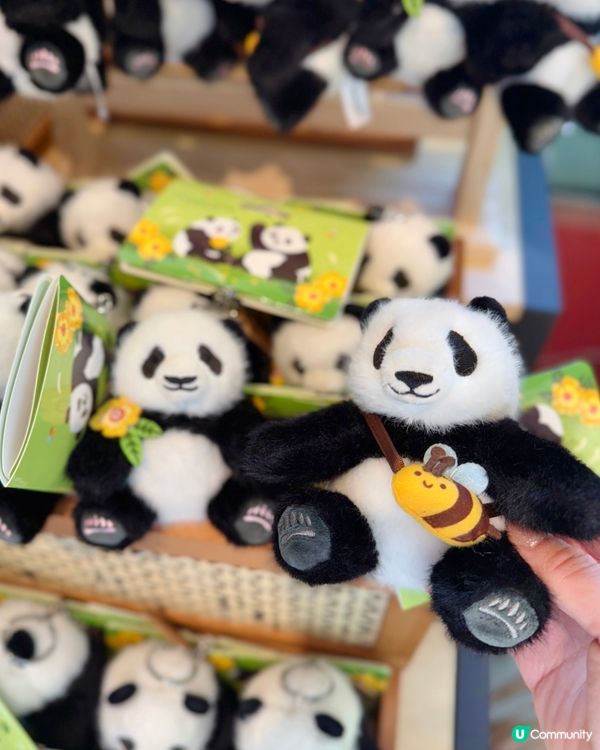 今次去海洋公園難忘點🐬