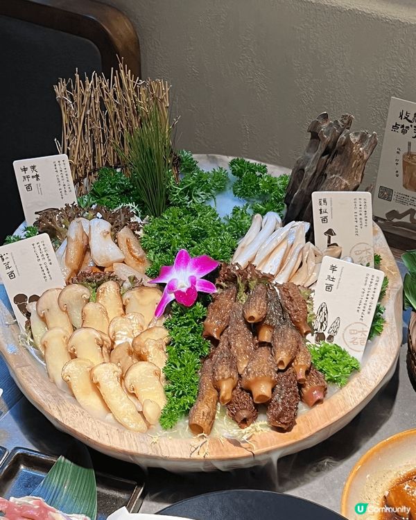 榮山鍋·野菌土雞火鍋 🍲🌲  —山林美味，菌香四溢 🍄✨— ...