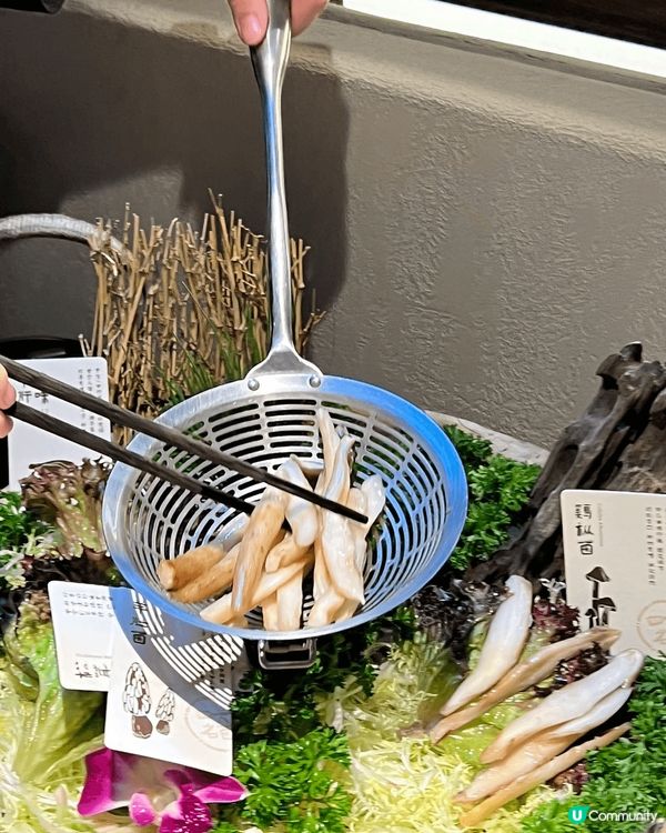 榮山鍋·野菌土雞火鍋 🍲🌲  —山林美味，菌香四溢 🍄✨— ...