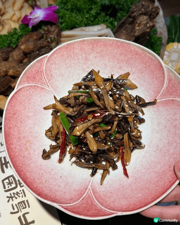 榮山鍋·野菌土雞火鍋 🍲🌲  —山林美味，菌香四溢 🍄✨— ...