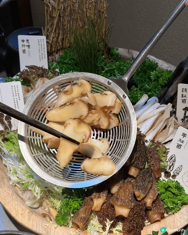 榮山鍋·野菌土雞火鍋 🍲🌲  —山林美味，菌香四溢 🍄✨— ...