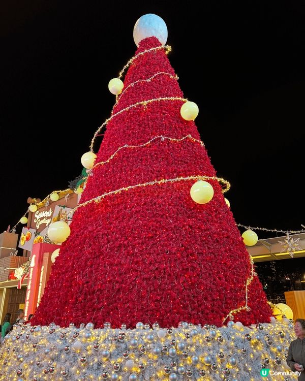 香港Xmas遊～尖沙咀海港城、灣仔利東街、荃灣如心廣場隱藏c...