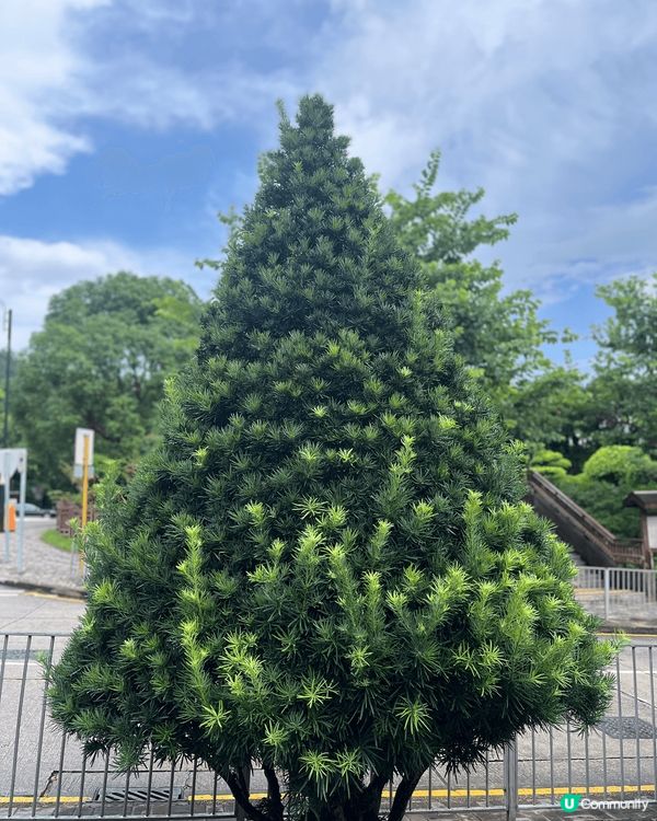 好鍾意留意身邊嘅事物，有時都會帶俾你驚喜，個個都去商場打卡影...