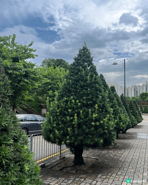 好鍾意留意身邊嘅事物，有時都會帶俾你驚喜，個個都去商場打卡影...