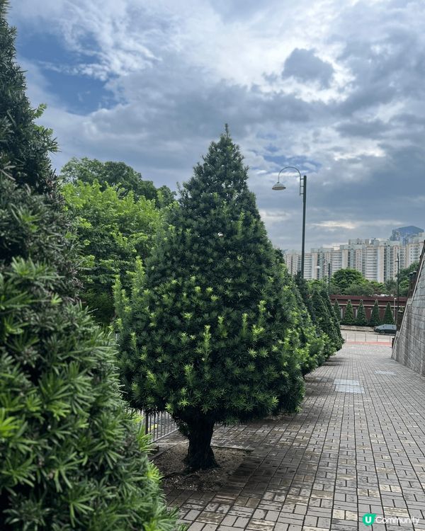 好鍾意留意身邊嘅事物，有時都會帶俾你驚喜，個個都去商場打卡影...