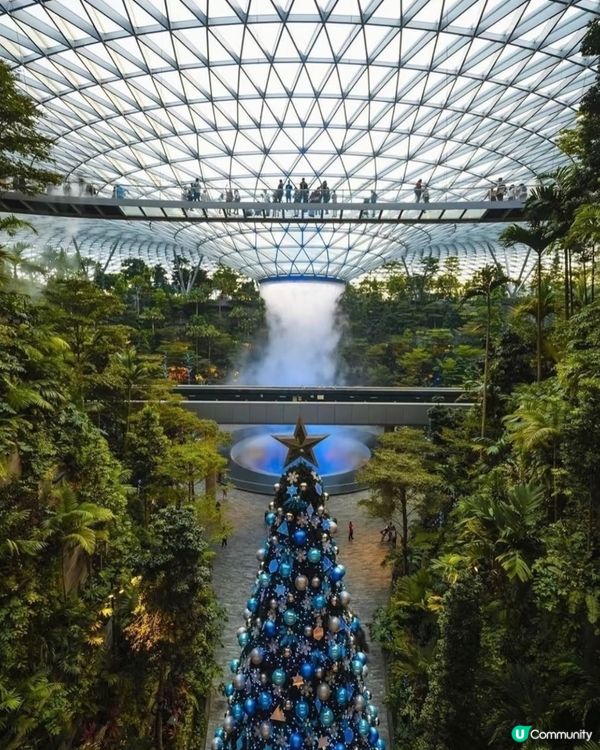 新加坡聖誕🎄即將到啦！🥳