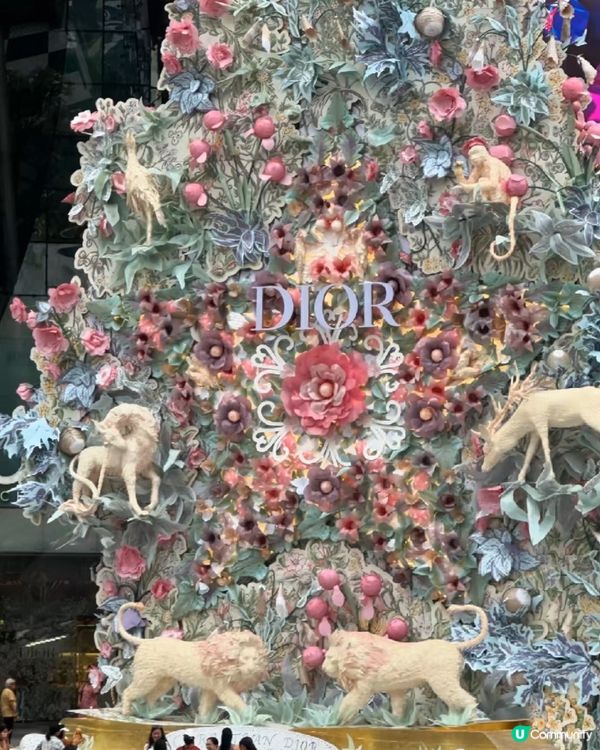 新加坡聖誕🎄即將到啦！🥳