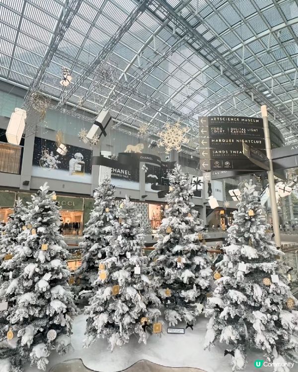 新加坡聖誕🎄即將到啦！🥳