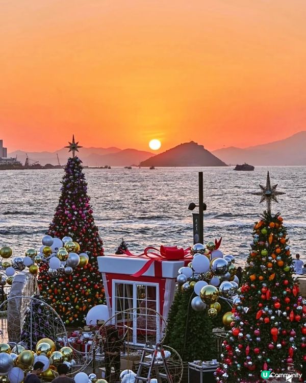 維港日落🌇  打卡聖誕樹🎄