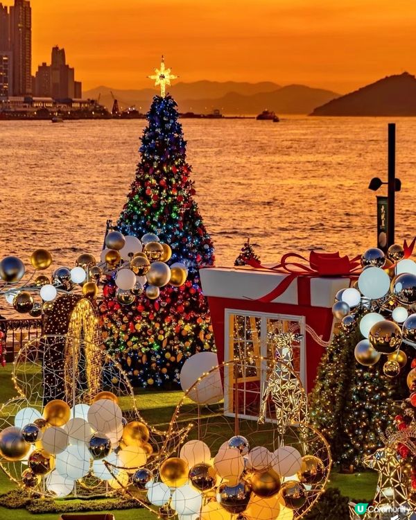 維港日落🌇  打卡聖誕樹🎄