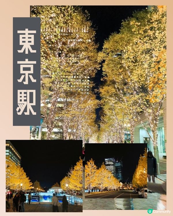 東京駅丸之內🎄 聖誕燈飾閃閃✨