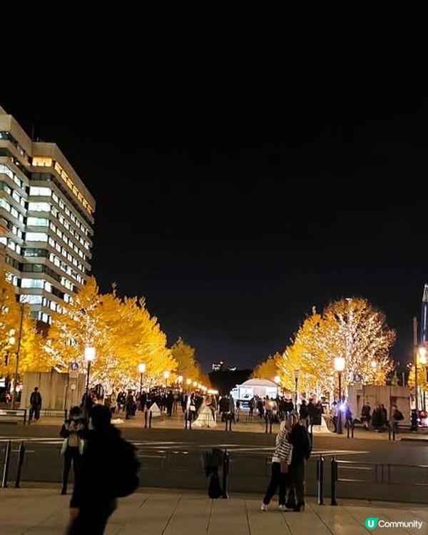 東京駅丸之內🎄 聖誕燈飾閃閃✨