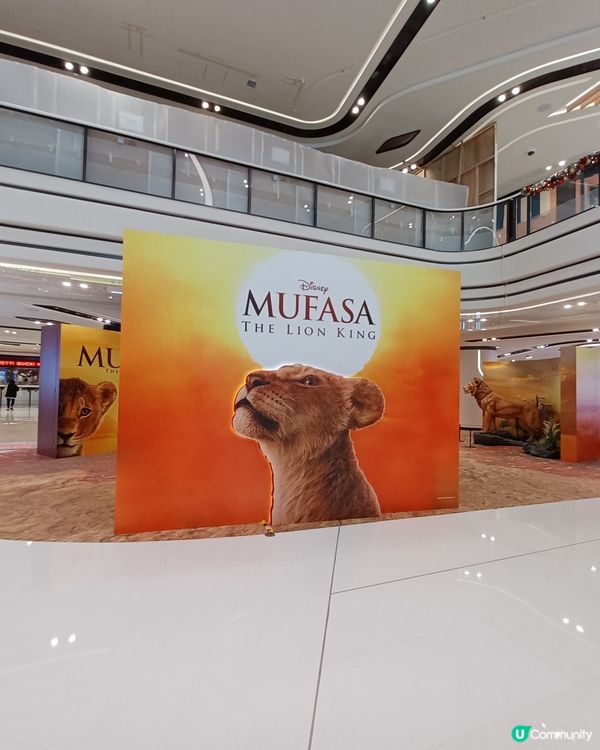 圍方獅子王出沒注意🦁
