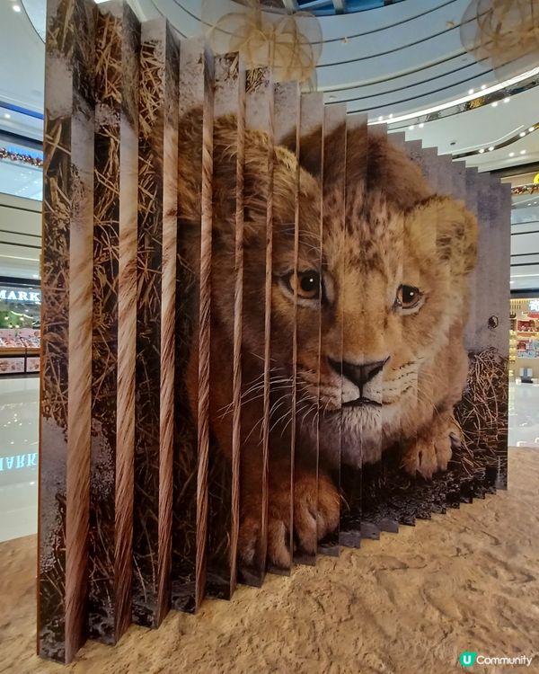 圍方獅子王出沒注意🦁
