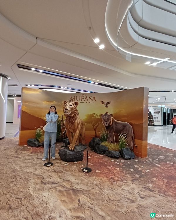 圍方獅子王出沒注意🦁
