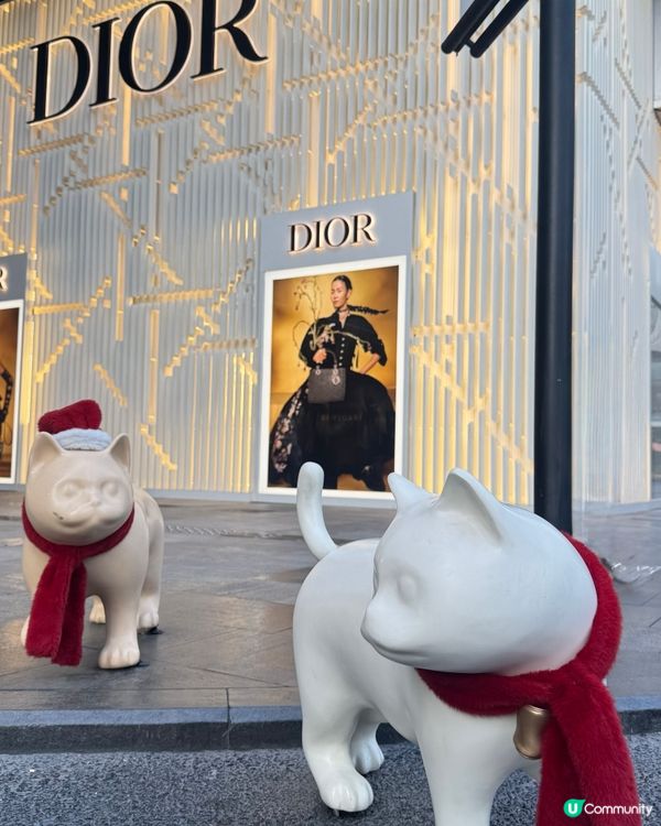 ✨深圳灣萬象城貓貓靚靚聖誕裝✨