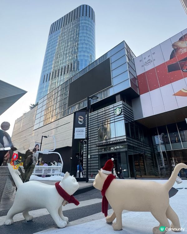 ✨深圳灣萬象城貓貓靚靚聖誕裝✨