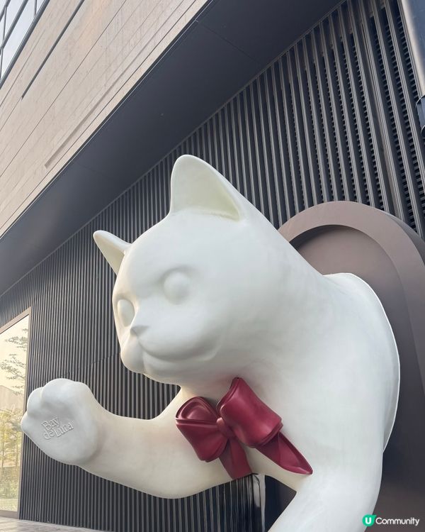 ✨深圳灣萬象城貓貓靚靚聖誕裝✨