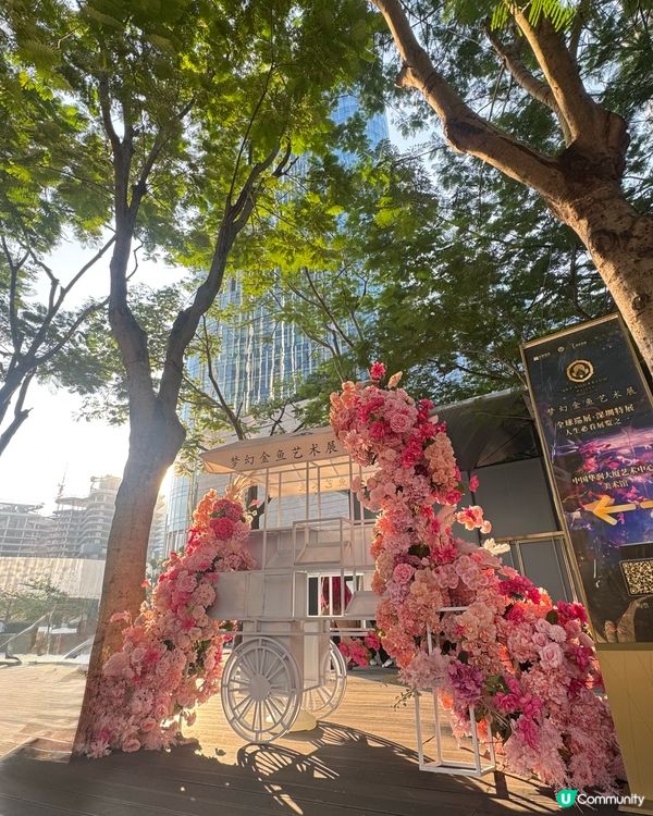 ✨深圳灣萬象城貓貓靚靚聖誕裝✨